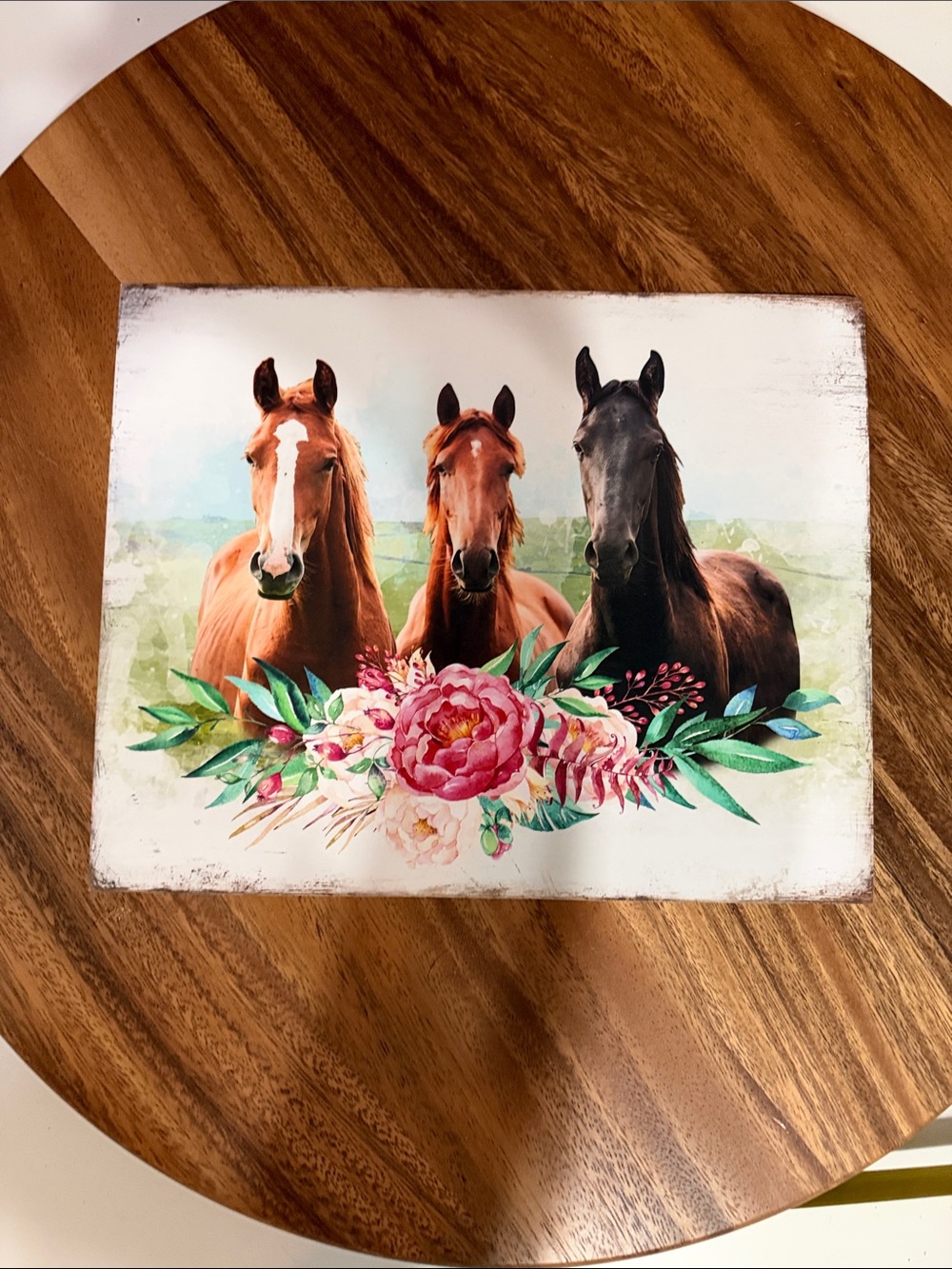 Three Horses Floral Art Print - Brown and Black